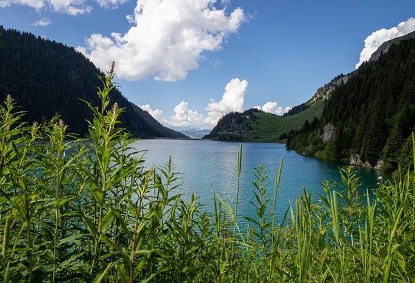 Découverte inoubliable et activités à faire dans le Beaufortain